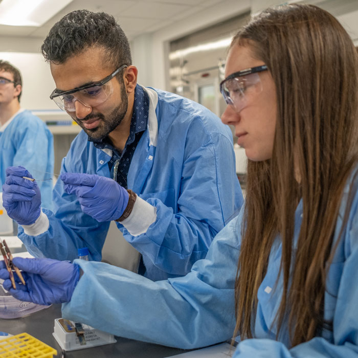 Microbiology students working on a research project in a lab