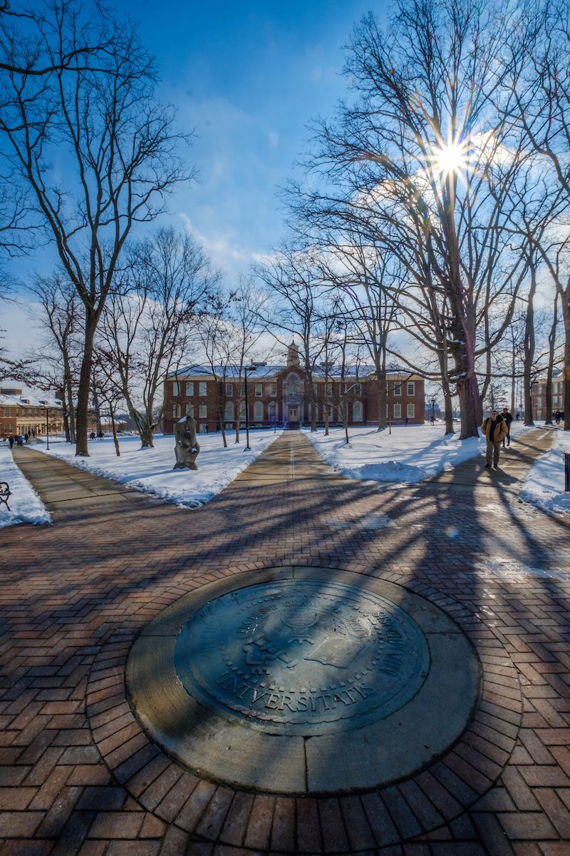 Seal on the Academic Quad taken during the winter