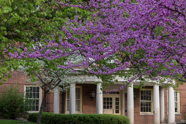 Roudebush Hall shown with spring flowers on the trees.