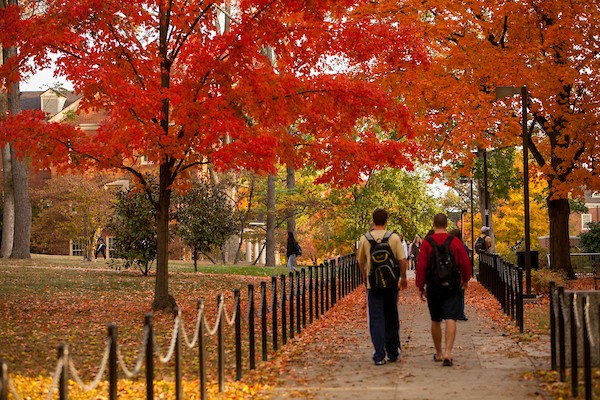 Orange and yellow leaves during late fall.