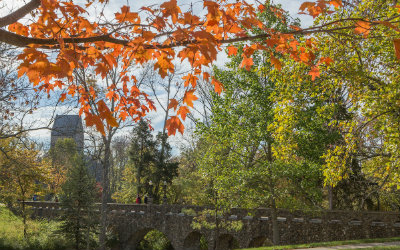 View of Western Campus during the fall with leaves changing colors on the trees