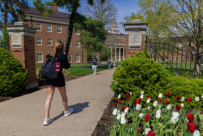 A young man and woman are engaged in a collaborative discussion while working on laptops at a wooden table, with shelves of books and framed documents in the background.