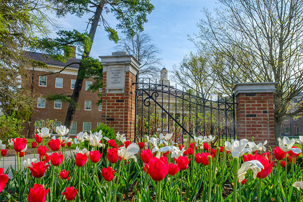 The front gates of the Farmer School of Business at Miami University with spring tulips filling the foreground.