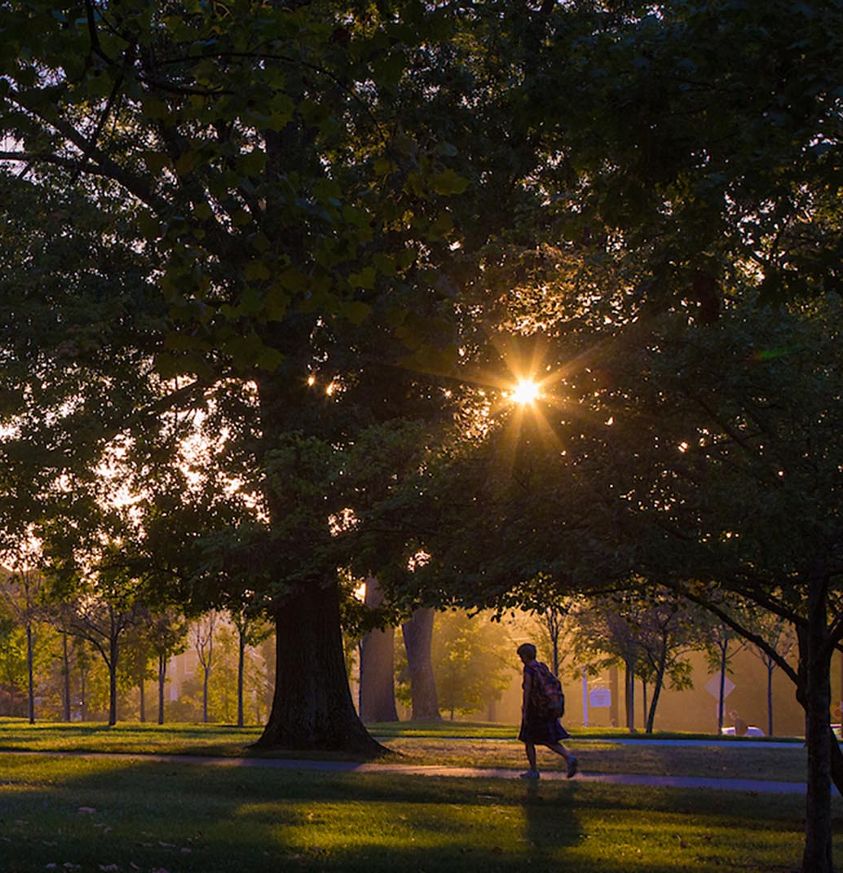 Student walking across Miami's campus while the sun sets. The rays flare through the tree branches.