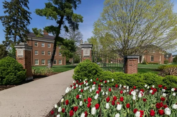 farmer school of business in the background with red and white tulips in focus