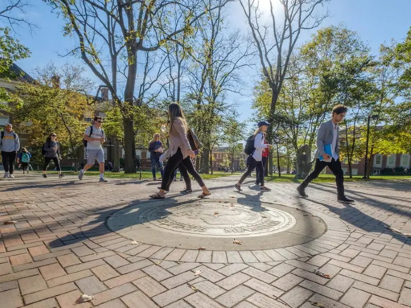 student walking across campus with sun shining through trees