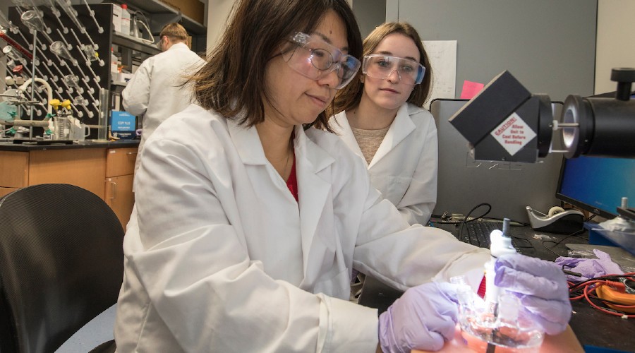 Professor Lei Kerr in a research lab with a student