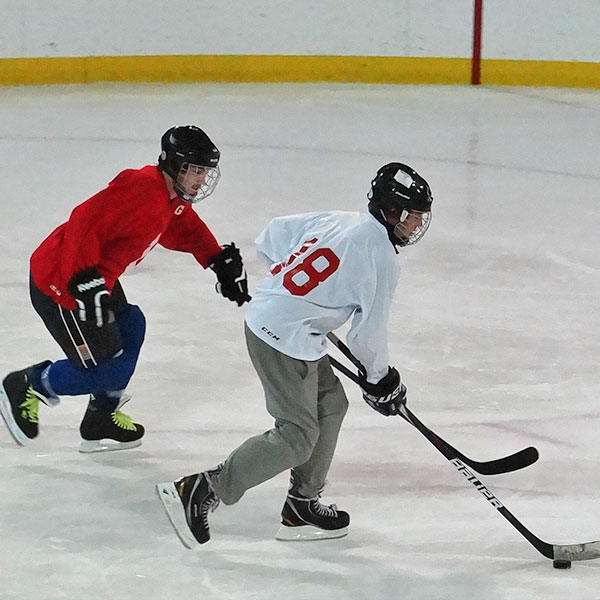 Two adult hockey players vying for the puck