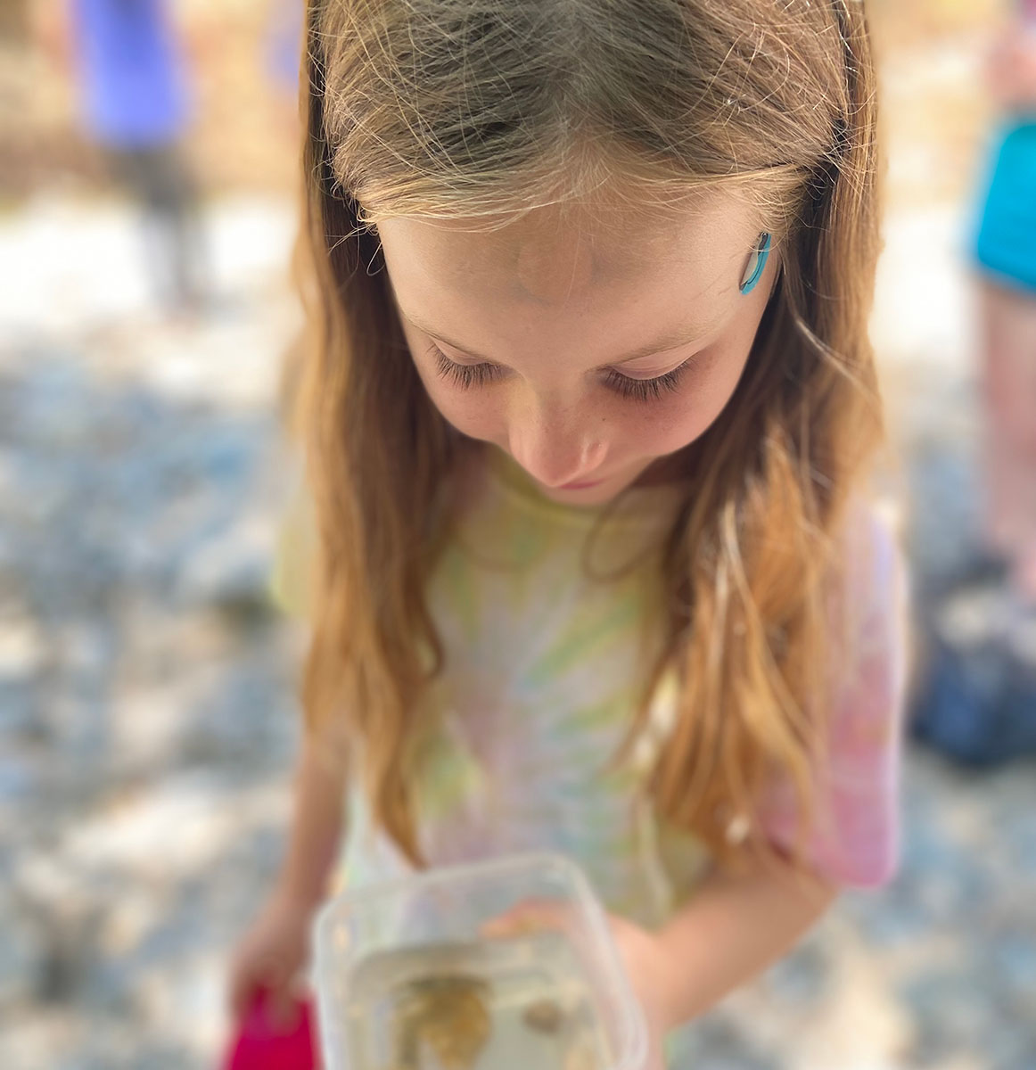 Child holding a jar with minnows in it from the creek
