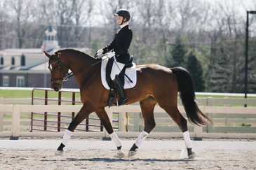 Miami student wearing formal riding attire while on a horse in the outdoor arena
