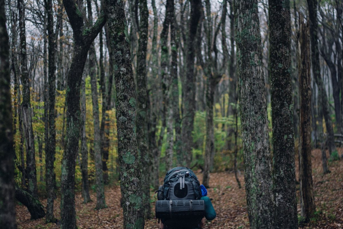 Person backpacking through some dense woods