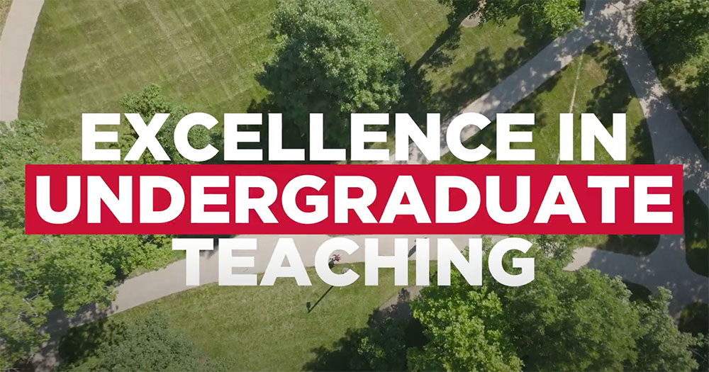 Excellence in Undergraduate Teaching
