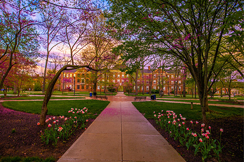 The Campus Seal during a spring sunrise