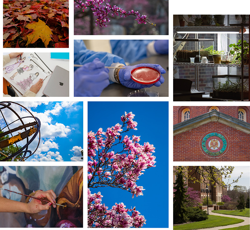 Collage of campus-themed photos, including blooming pink flowers, lab work with a petri dish, students creating art, a greenhouse shelf with plants, and university architecture and outdoor scenes.