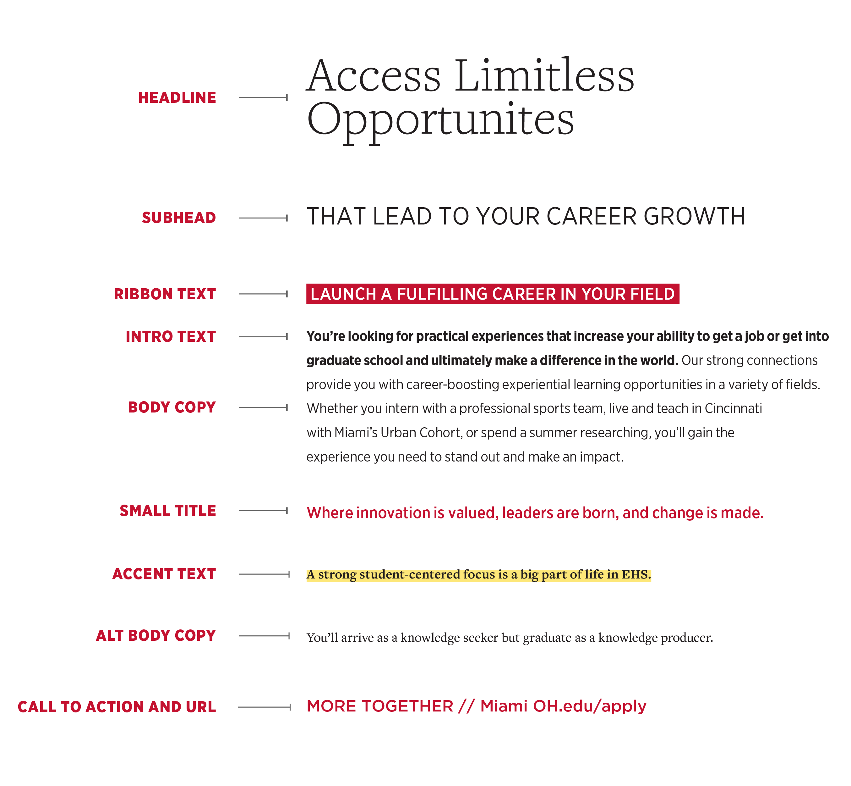 Typography layout guide showing an example headline and subhead (“Access Limitless Opportunities” and “That lead to your career growth”), plus labeled sections for ribbon text, intro text, body copy,.