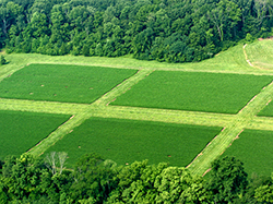 Agroecosystem Plots