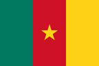 Cameroon Flag