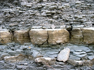 limestone embedded in shale