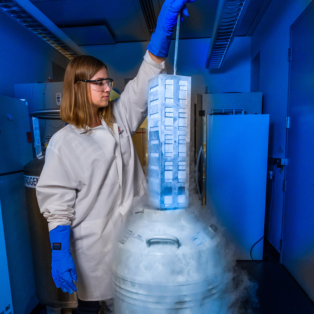 Undergraduate Researcher