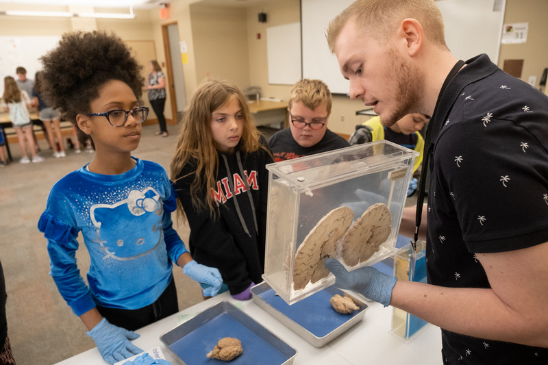 students learning about the brain