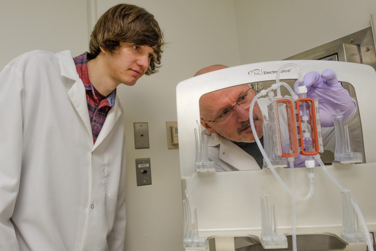 professor and student in a lab looking a a model of a brain