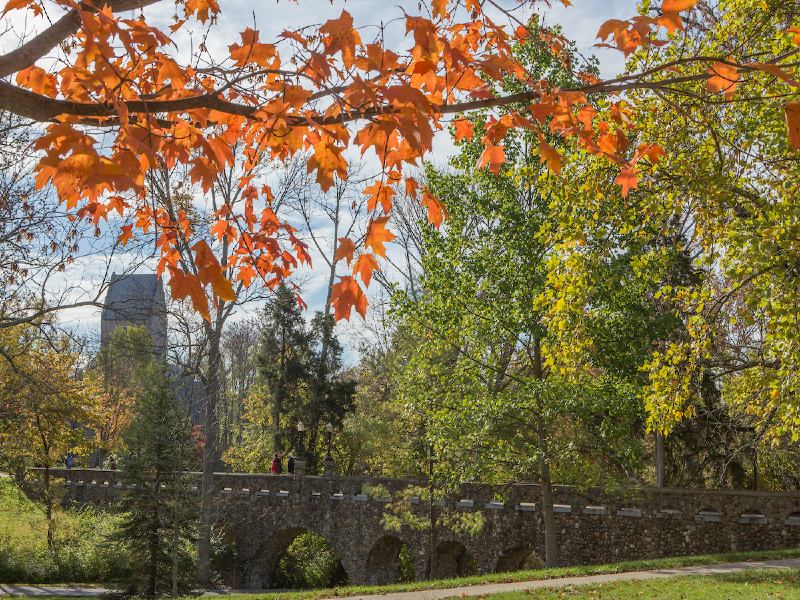 Miami University, during the summer