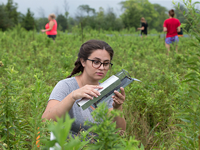 Student doing research in the field