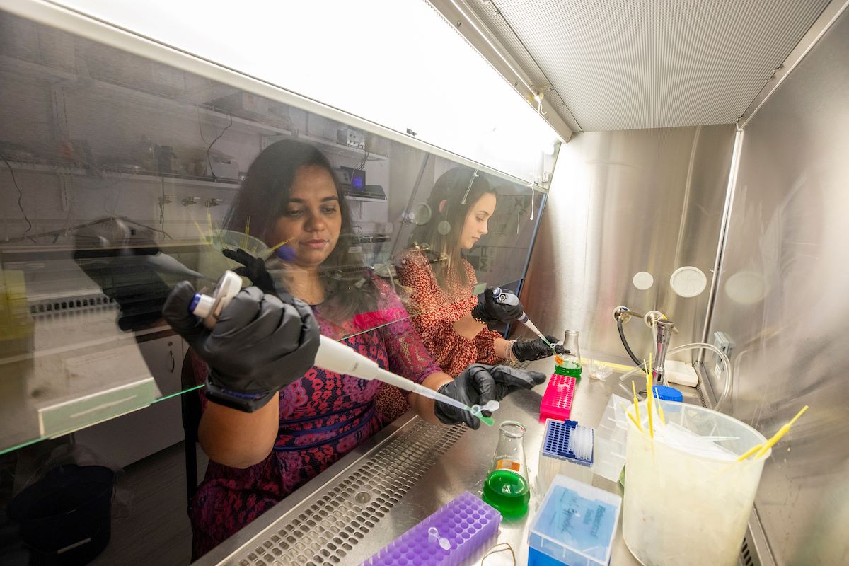 Microbiology student working in lab