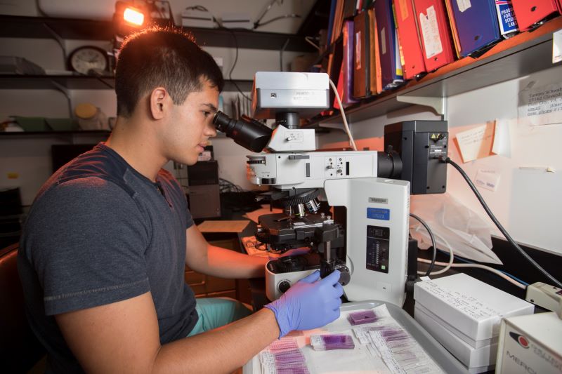 Student using a microscop in a Chemistry lab