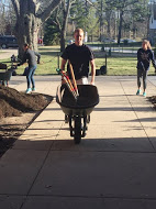 Student cleaning and pushing a wheelbarrow.