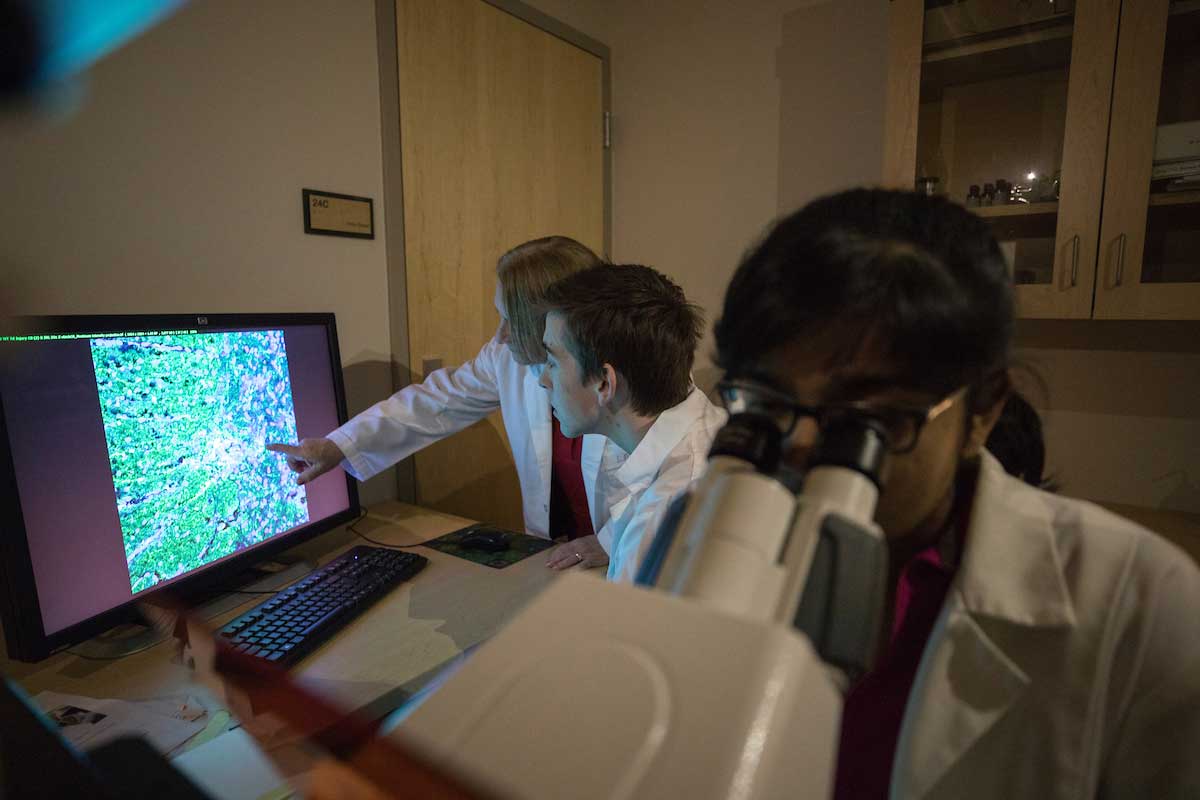 students looking at cells on computer and student looking through microscope