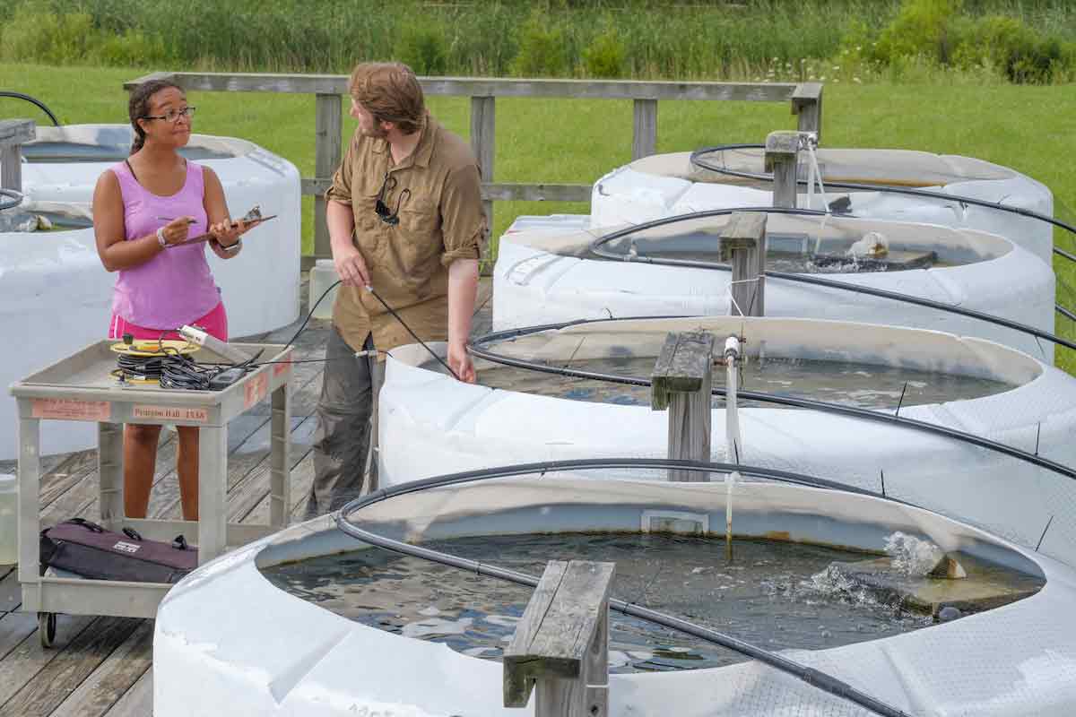 student and faculty member collecting readings from water tanks
