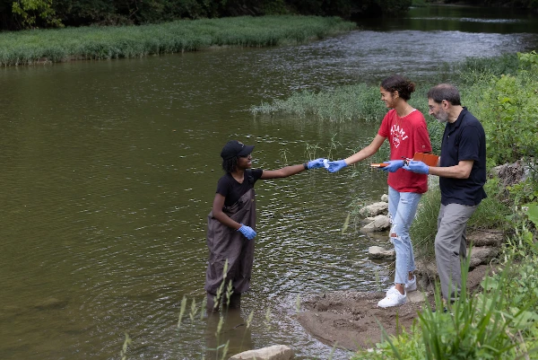 students with professor levy taking samples from a creek