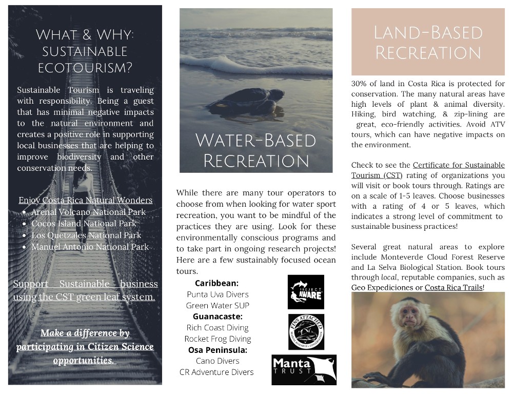 Online brochure 2