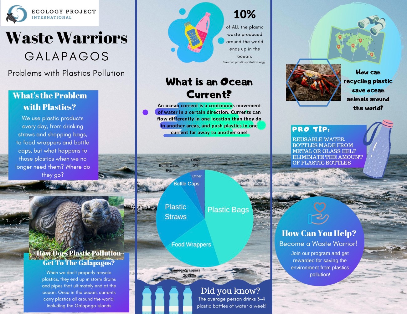 waster warrior info