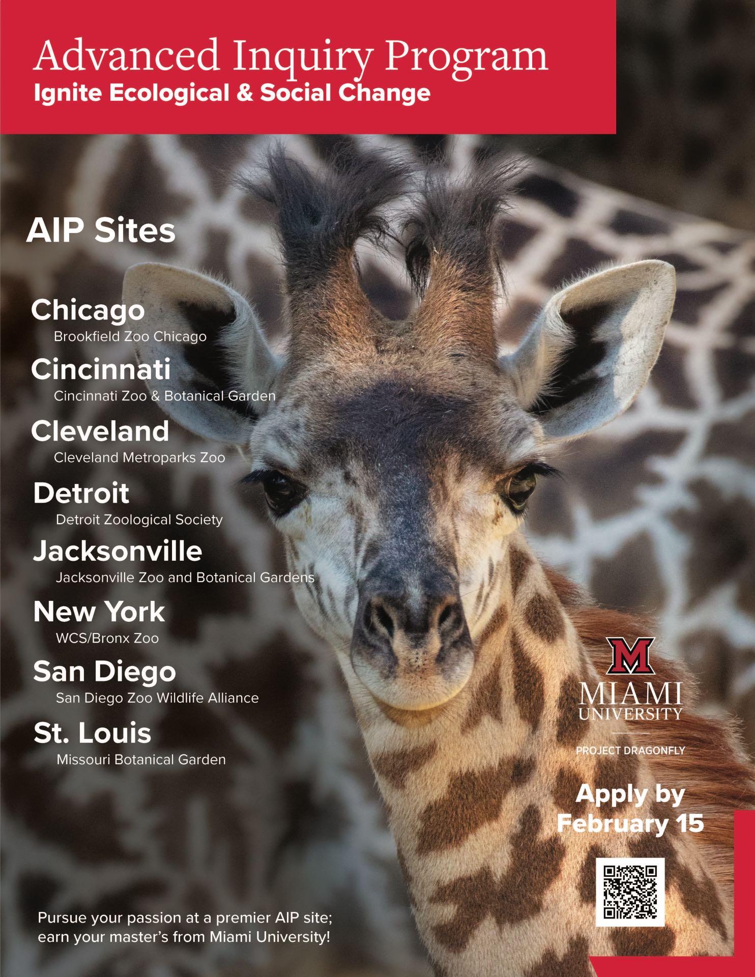 AIP giraffe flyer with information about each of the offered Sites.