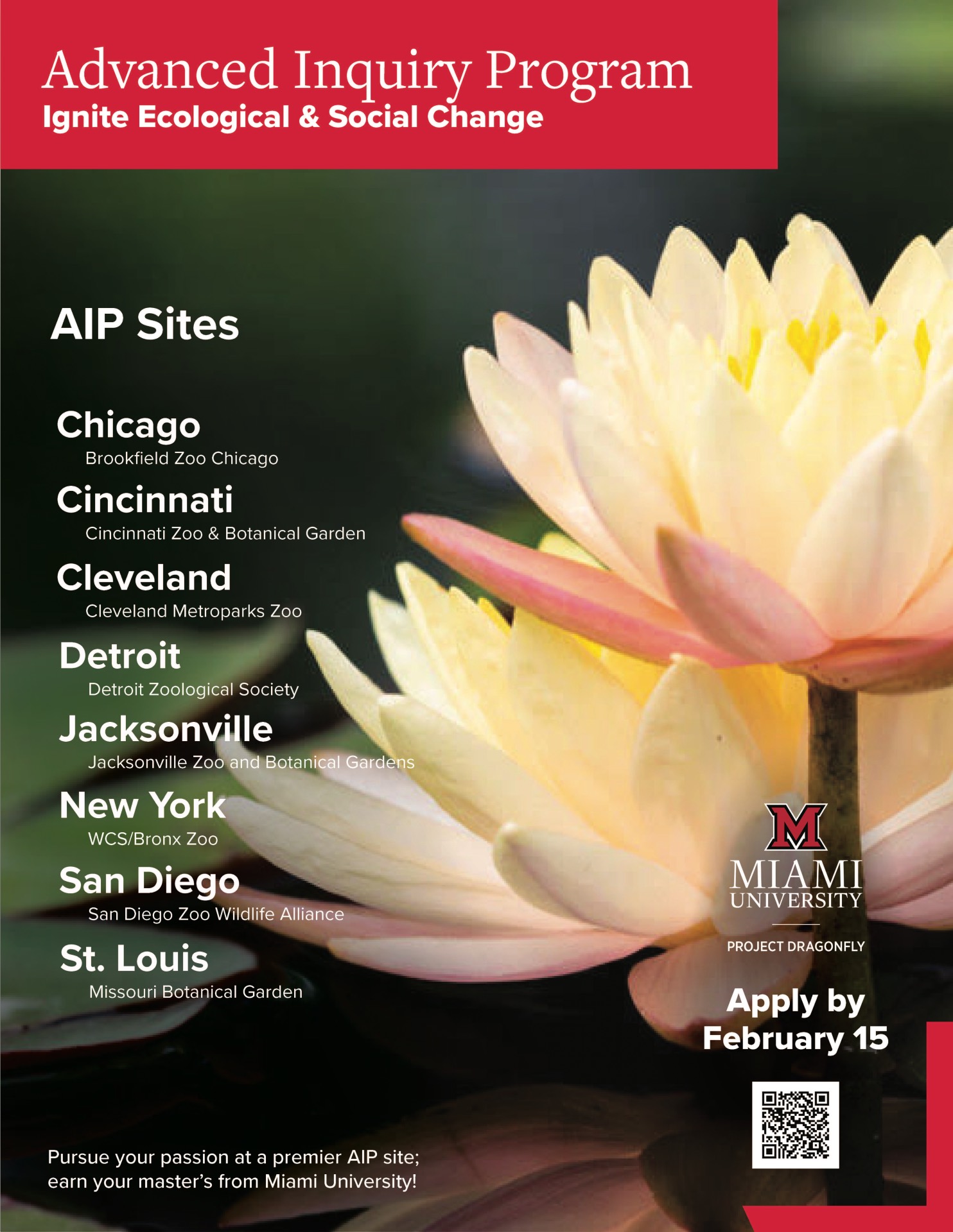 AIP lily flyer with information about each of the offered Sites.