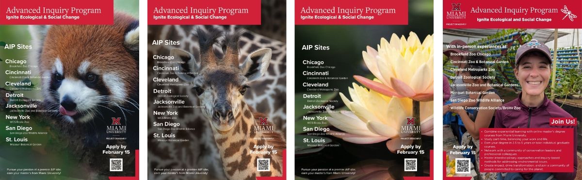 AIP giraffe flyer with information about each of the offered Sites.