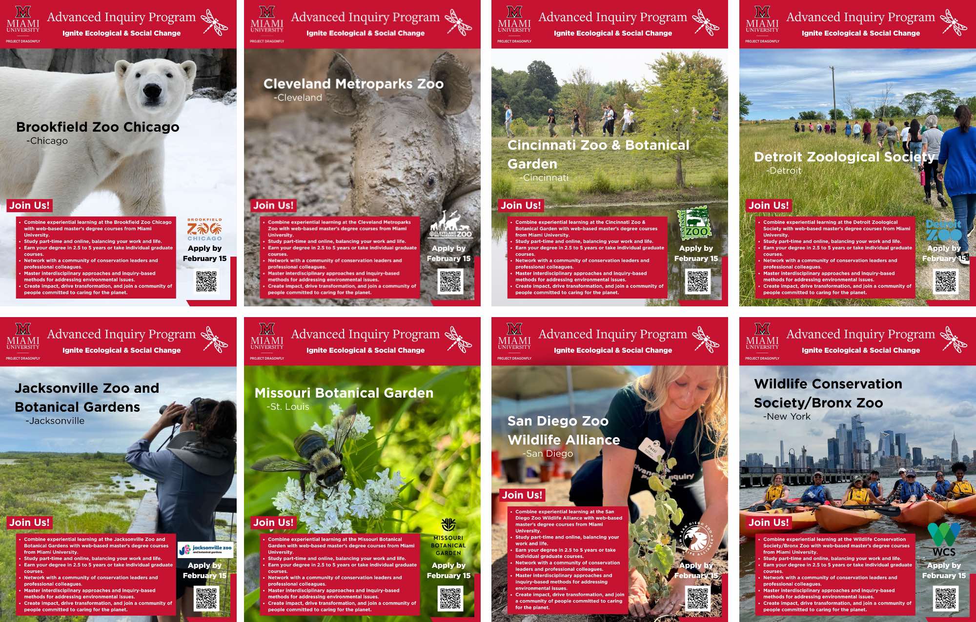 AIP-Site specific flyer designs