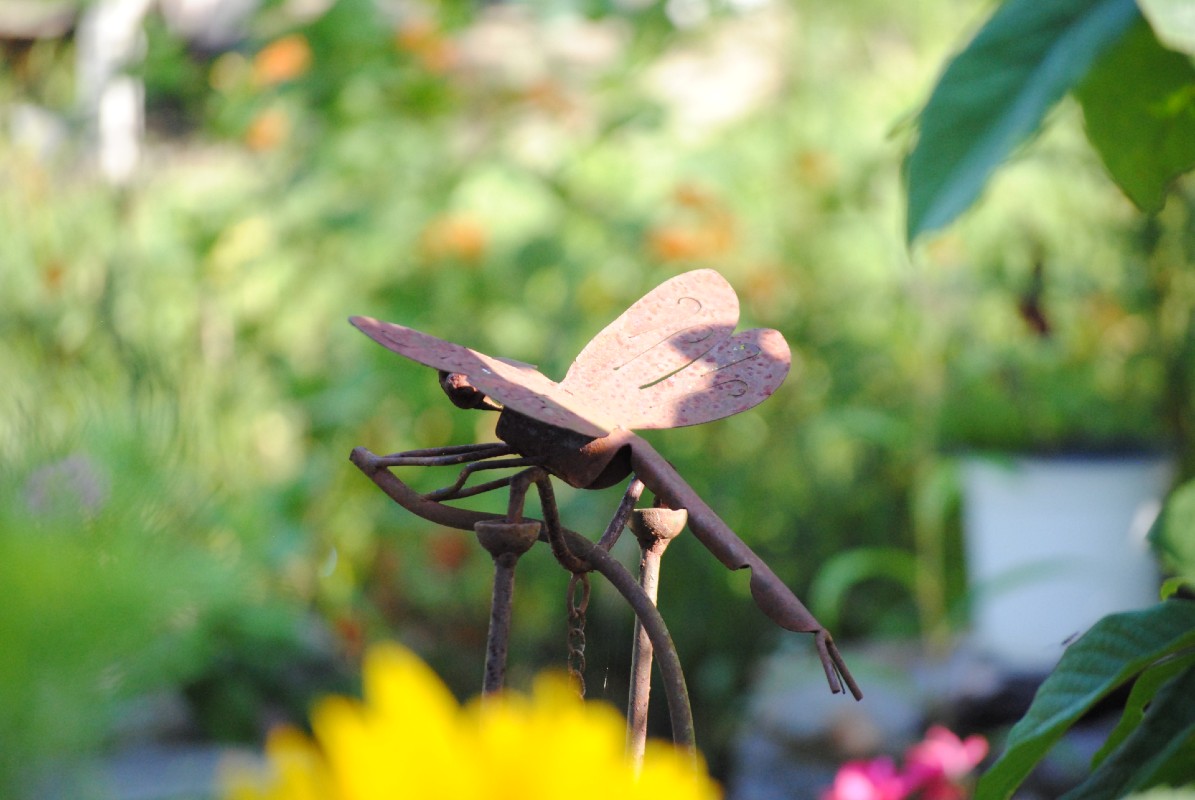 A metal dragonfly garden ornament.