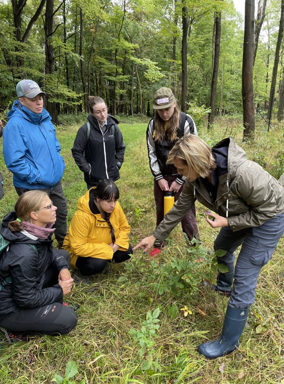 Regional Ecology students Sarah Barrow, Molly Toth, Tiger Irvin (bottom) Jennifer Vorachek-King and Gretchen Uhrinek) explore reforestation efforts with the Cleveland Metroparks Natural Resources team