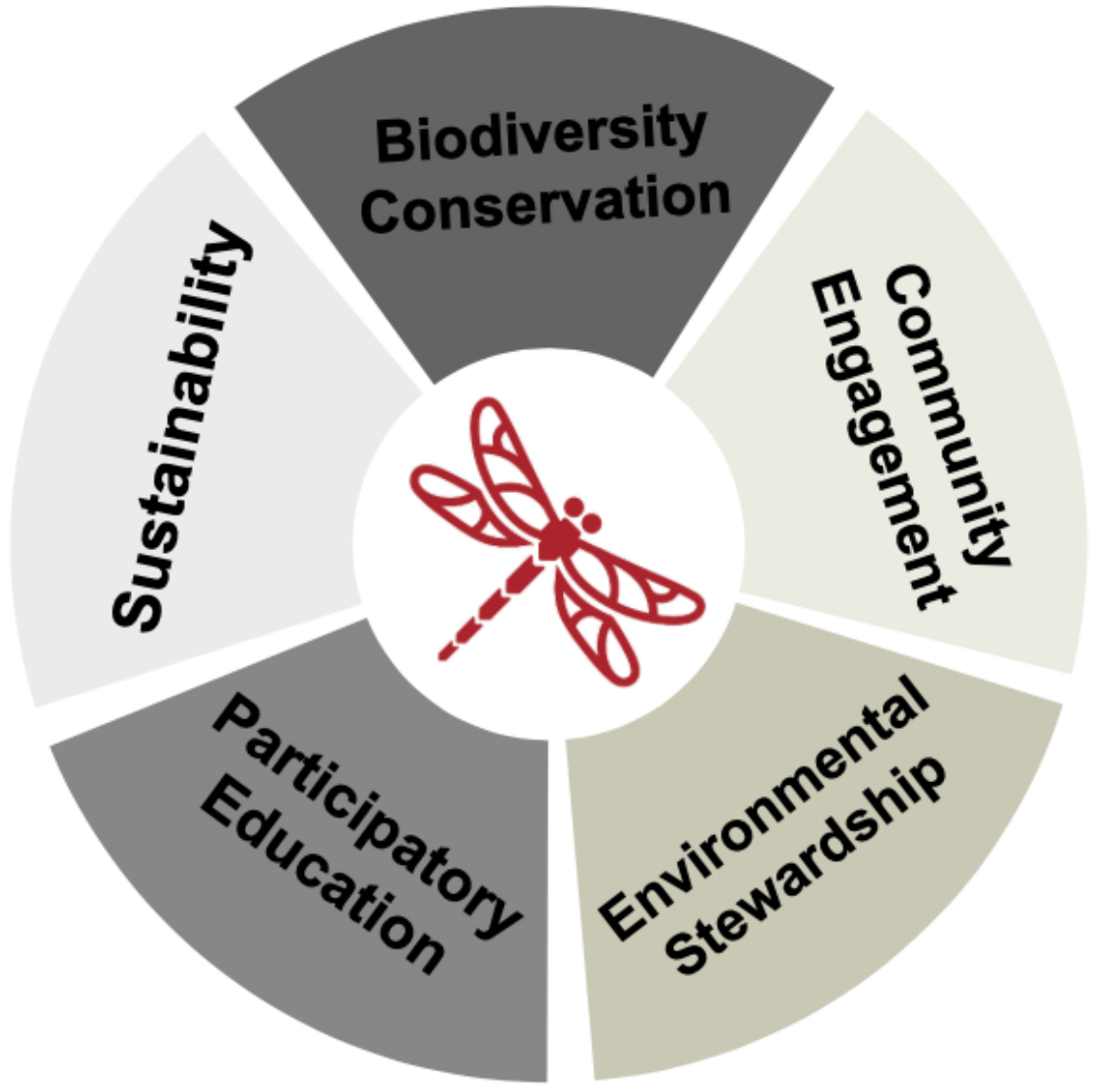 A circle graphic labeling the 5 core contents.