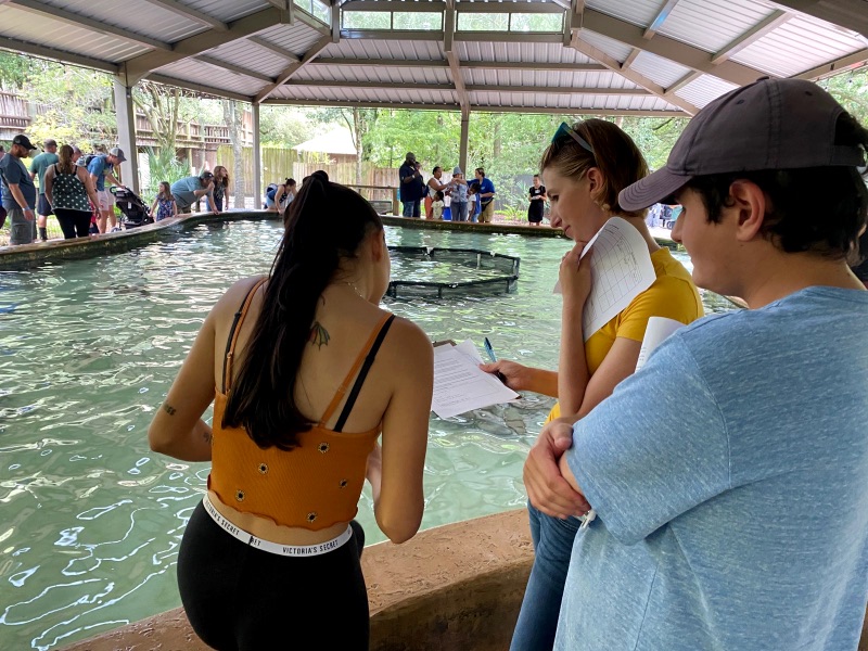 AIP students conducting a behavioral inquiry on sting rays at JZG