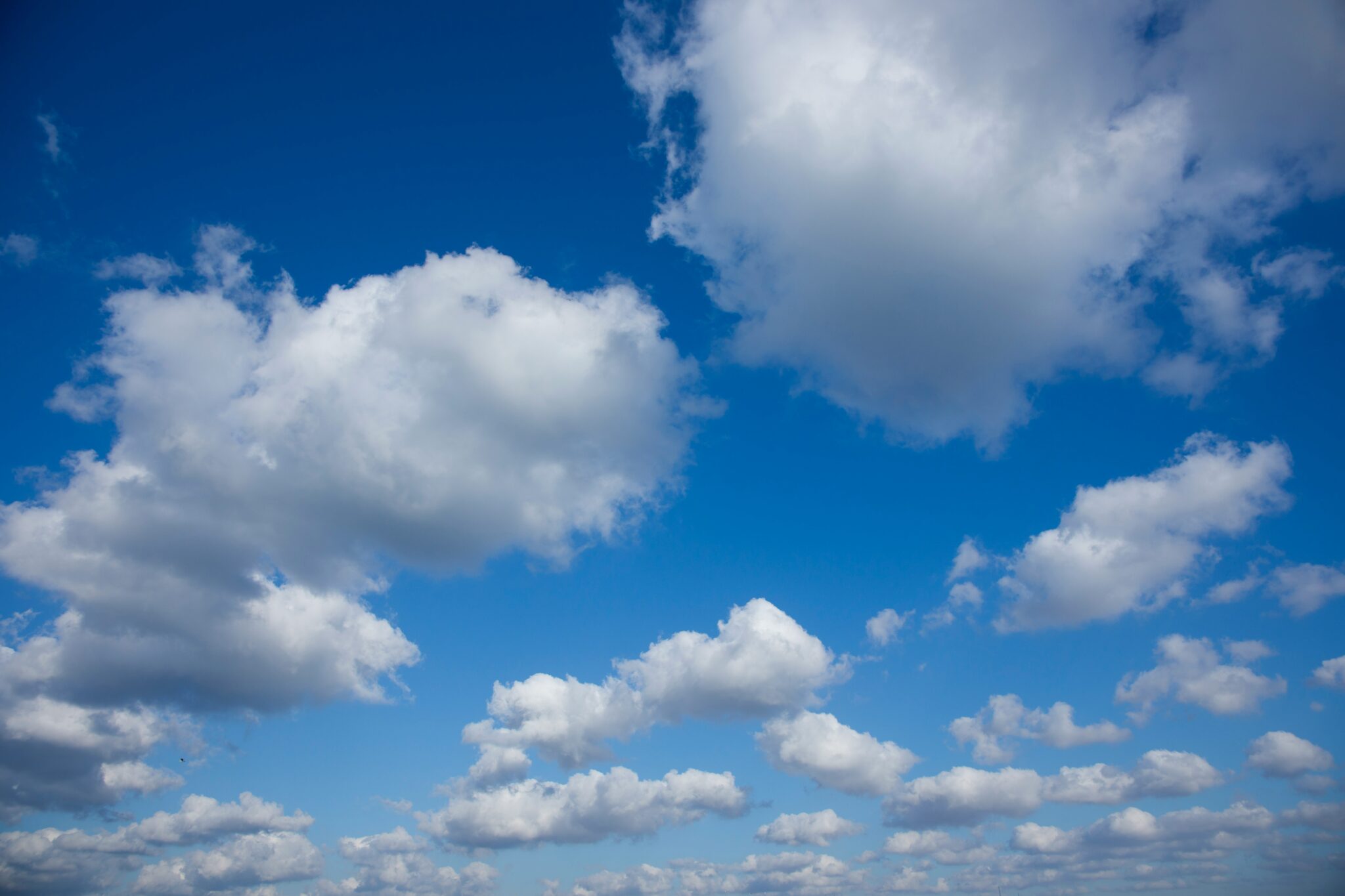 Looking up to the clouds in the sky made us wonder just what else might be up there besides the clouds?