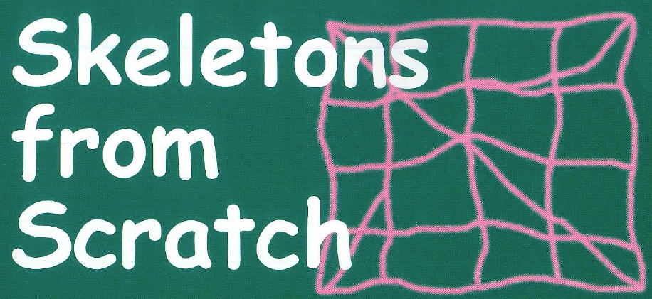 Skeletons from scratch title with a pink chart in the background.