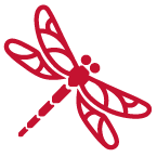 dragonfly re logo