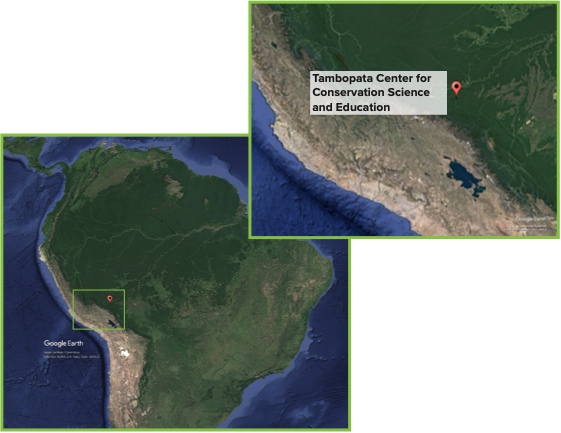 Google Earth map of Amazon with one location marked. A seconds image shows the marked location zoomed in and labeled Tambopata Center for Conservation Science and Education