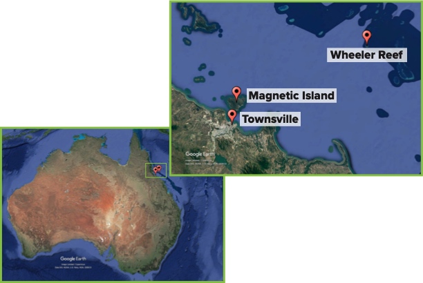 Google Earth map of Australia with locations marked. There is a close up image of the marked locations labeled Wheeler Reef, Magnetic Island, and Reef HQ Aquarium