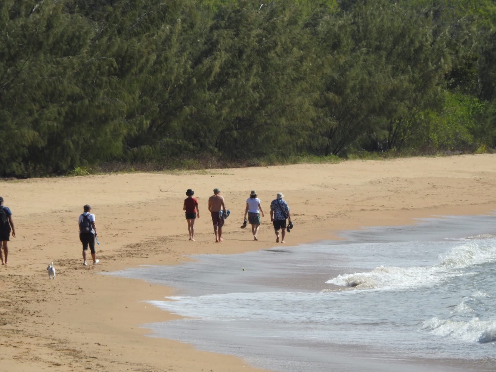 Students walking on the beach.