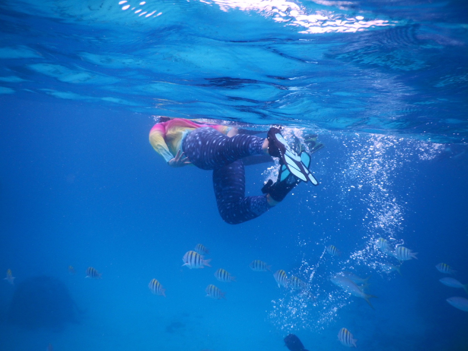 A student snorkeling in the water